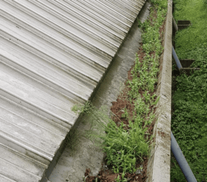 Happy customers in Witley who trust The Roof Moss Cleaners for gutter cleaning services