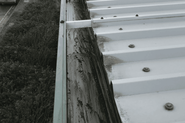Commercial gutter cleaning specialists in Witley